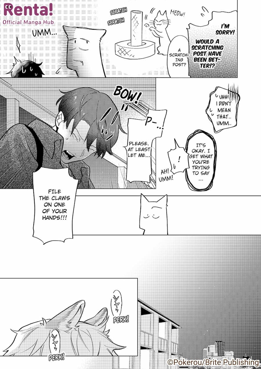 Contents LP - Sample page 11