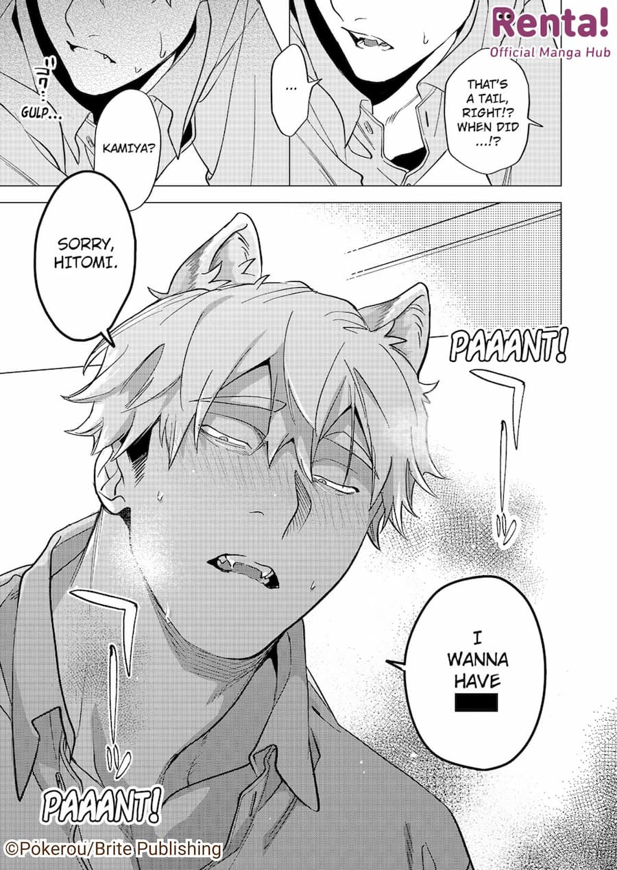 Contents LP - Sample page 15