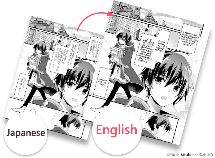 Translation Theory for Anime Fans: A Case Study of a Fan Translator vs a  Professional – Frogkun.com