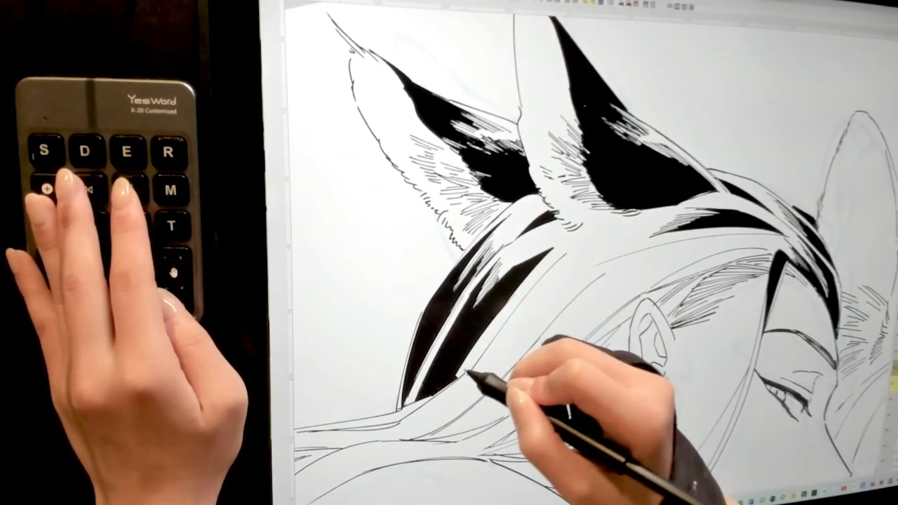 Drawing and Q&A with Tsurusawa-sensei