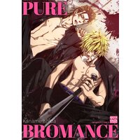 [Sold by Chapter] Pure Bromance