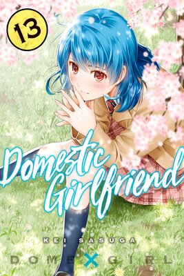 Domestic Girlfriend 13