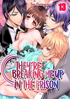 They're Breaking Me Up in the Prison(13)