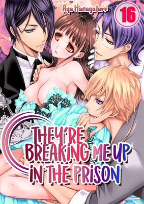 They're Breaking Me Up in the Prison(16)