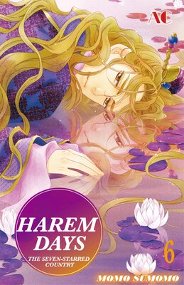 HAREM DAYS THE SEVEN-STARRED COUNTRY Volume 6