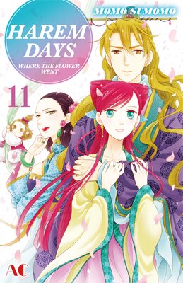 HAREM DAYS THE SEVEN-STARRED COUNTRY Volume 11