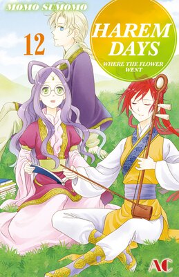 HAREM DAYS THE SEVEN-STARRED COUNTRY Volume 12