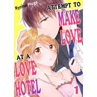 Attempt to Make Love at a Love Hotel