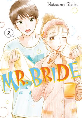 Mr. Bride 2