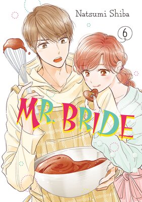 Mr. Bride 6