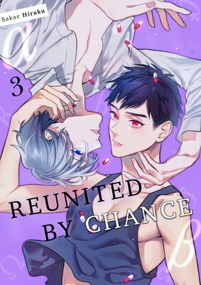 Reunited By Chance (3)