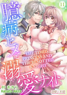 The Timid Princess and the Besotted Knight (11)