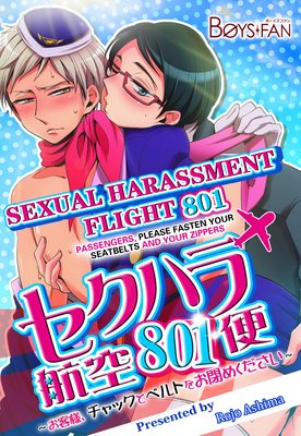 Sexual Harassment Flight 801 Passengers, Please Fasten Your Seatbelts and Your Zippers-