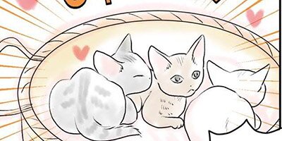 My Cats Don't Like Me Chapter 36[VertiComix]