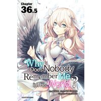 Why Does Nobody Remember Me in This World? Chapter 36.5