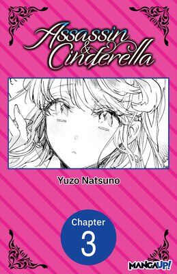 Assassin & Cinderella #003