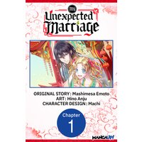 My Unexpected Marriage