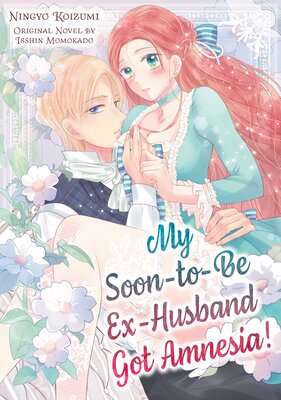 My Soon-to-Be Ex-Husband Got Amnesia!