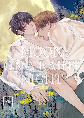 Moon on a Rainy Night.