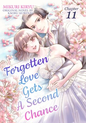 [Sold by Chapter]Forgotten Love Gets A Second Chance (11)
