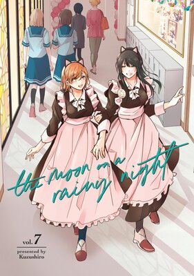 The Moon on a Rainy Night 7