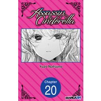 Assassin & Cinderella