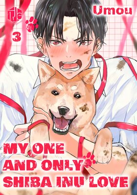 My One And Only Shiba Inu Love