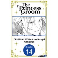 The Princess Groom