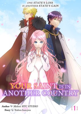 Your Saint Is In Another Country -One State's Loss Is Another State's Gain- [VertiComix]