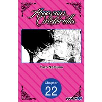Assassin & Cinderella