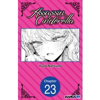 Assassin & Cinderella
