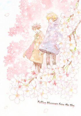 Falling Blossoms from the Sky