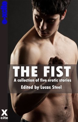 The Fist - A Collection of Gay Erotic Stories