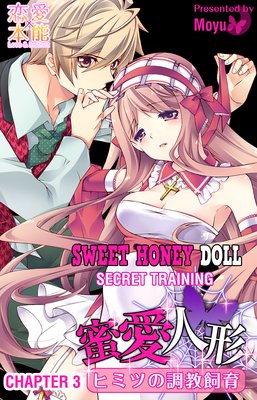 Sweet Honey Doll -Secret Training- (3)
