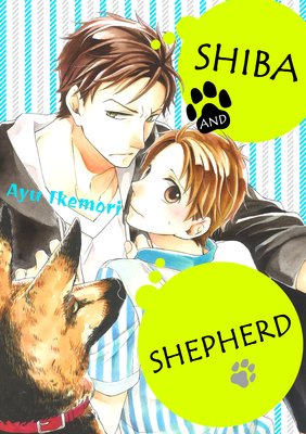 Shiba and Shepherd