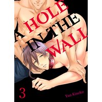 A Hole in the Wall (3)