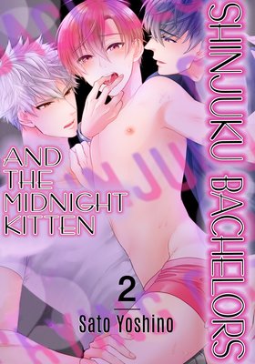 Shinjuku Bachelors and the Midnight Kitten (2)