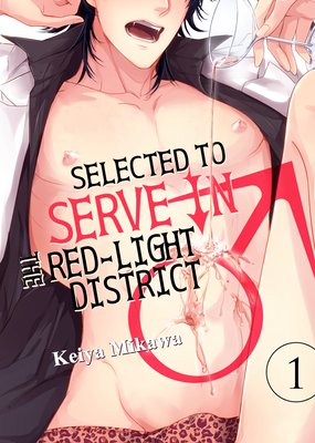 Selected to Serve in the Red-Light District