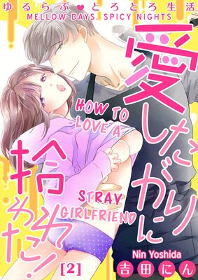 Mellow Days, Spicy Nights -How To Love A Stray Girlfriend- (2)