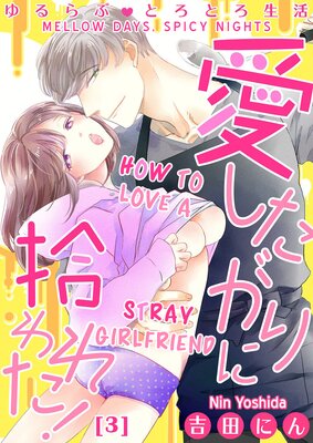 Mellow Days, Spicy Nights -How To Love A Stray Girlfriend- (3)