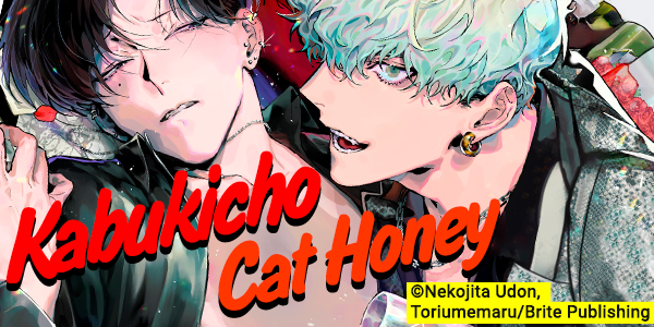 Kabukicho Cat Honey